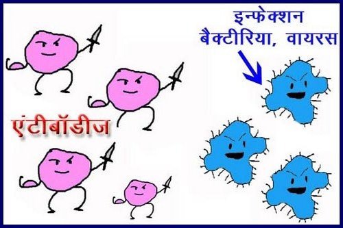 Antibodies Protection