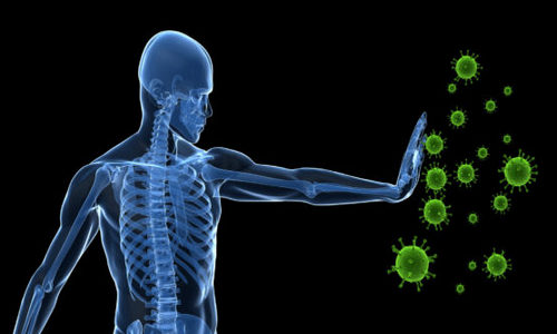 Immune System Protect from Infection